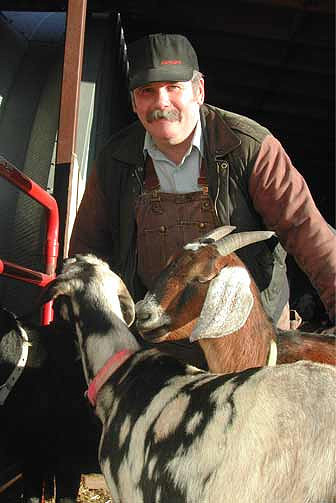 Molly's Dad Russ Williams and his goats